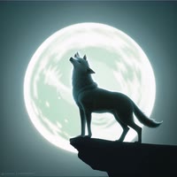 逆行↪☞孤狼🐺☜