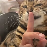 一阵西风藏太阳