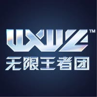 无限王者团