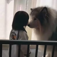 荸荸短剧