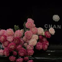 兜兜有米的花姐