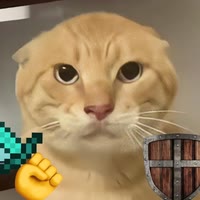 cheems诠释