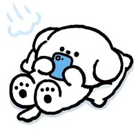 小熊（别看我置顶）