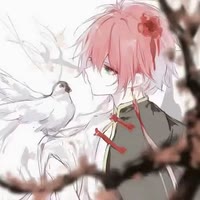 云如鸢
