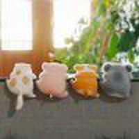 春风十里，不如你