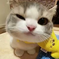 快手用户1748847579028