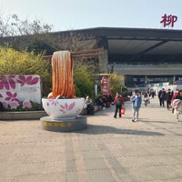 清风笑
