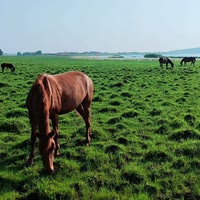 快手用户1749088017058