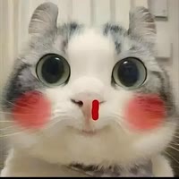 阿九来收机