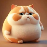 王者荣耀体验服