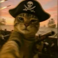 我是五一轩家马甲