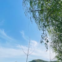 小猪🐷视频同款在店铺