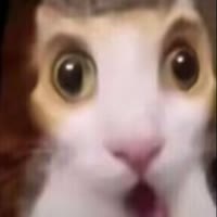 天上星星亮晶晶