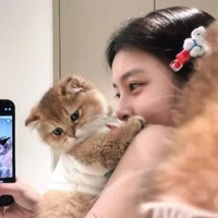 藍(lán)莓布丁??