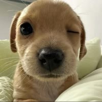 勾欠乔治·桐🐑