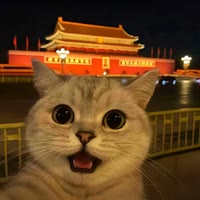 炜柏林孤独人