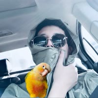 胖胖谷粒🦜