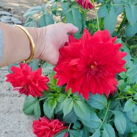 健康是福🤗好运来