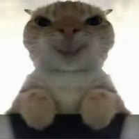 忘记坏事迎接好事