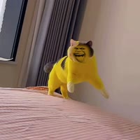 猛踹瘸子那条好腿