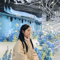 幺哥摆摊记（张九妹）