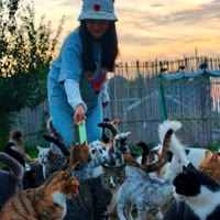 五月妈和院儿里的小流浪们