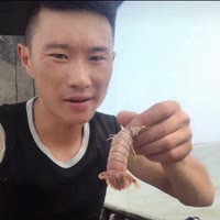船长海鲜21号全年最大场