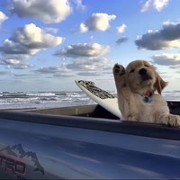 遗҉҉҈憾҉҉҈♡̶҉ℳ