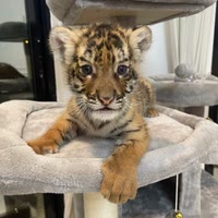 ㅤㅤㅤㅤㅤㅤ ㅤㅤㅤㅤ