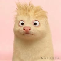 念安心