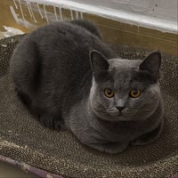 ℳঞᩚ一切归零ღ᭄ꦿ