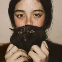 ㅤㅤㅤ  ㅤㅤㅤ