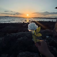 0517.