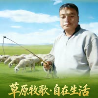 庆阳放羊娃阿娇
