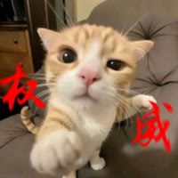 看啥看，我奥你啊