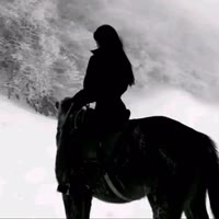 ㅤㅤ  ㅤㅤㅤ  ︋︋︋︋︋