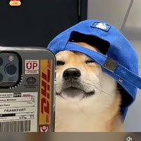 苍鶬