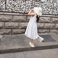 念念.鱼🐟