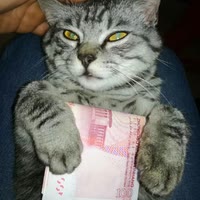 圣