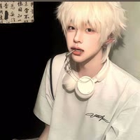 壮壮