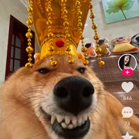 涵涵🐠🐠🌼。。