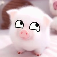 学长你好萌.i恋人