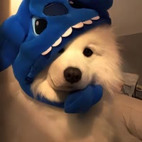 CFM小迷糊