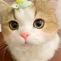 王子