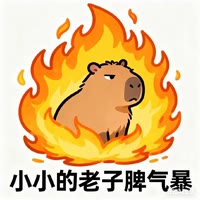 天天向上，我爱抽