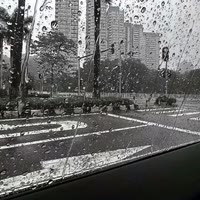 无所叼谓