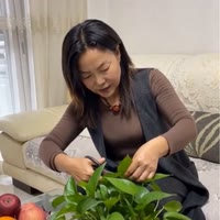 1. 乡村疯婆子🔥