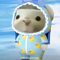 糖果：琦🍪（上学中）