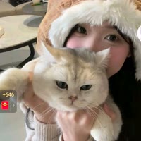 善爱如潮水