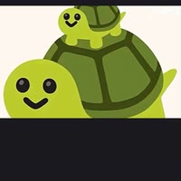turtle 🐢